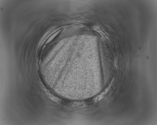 X0000067850101200605111718