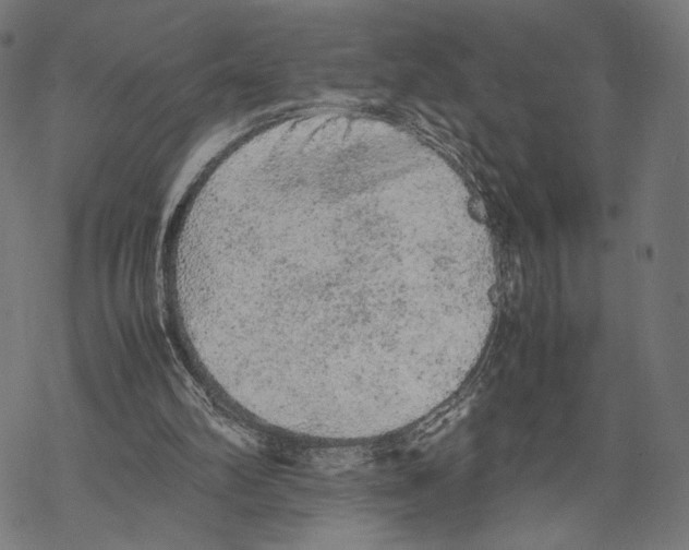 X0000067850102200605111718