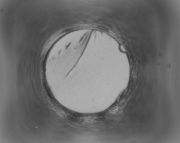 X0000067850103200605111718