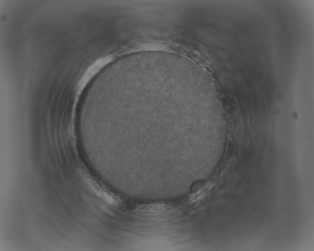 X0000067850104200605111718