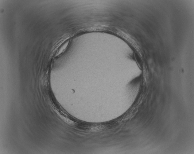 X0000067850105200605111718