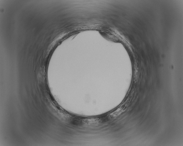 X0000067850107200605111718