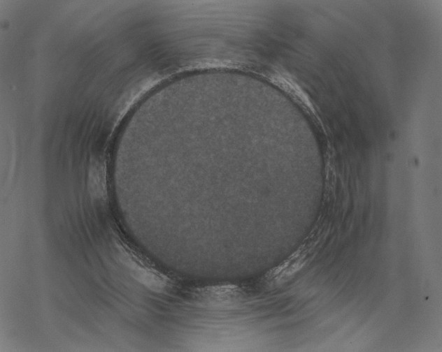 X0000067850108200605111718