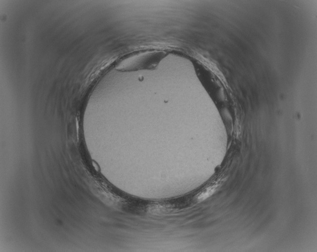 X0000067850109200605111718