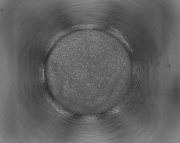 X0000067850110200605111718