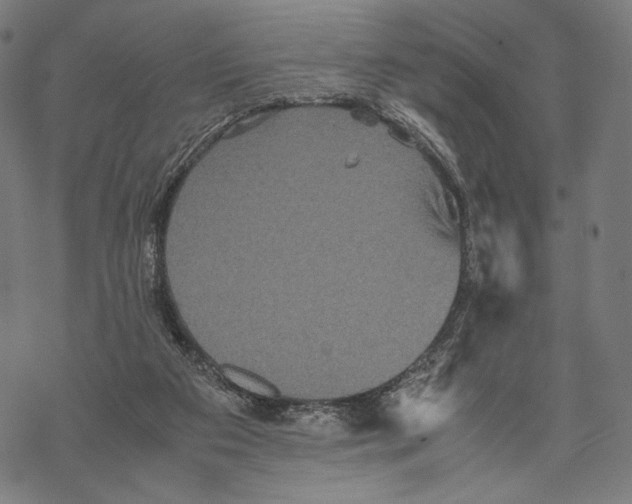 X0000067850113200605111718