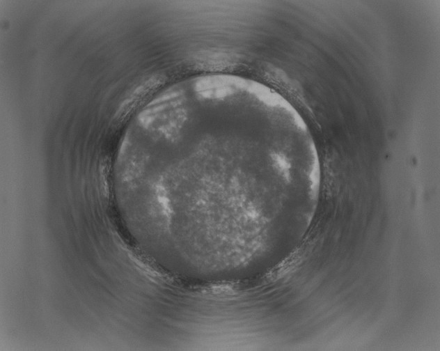 X0000067850114200605111718