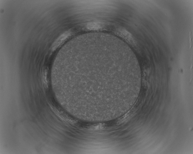 X0000067850116200605111718