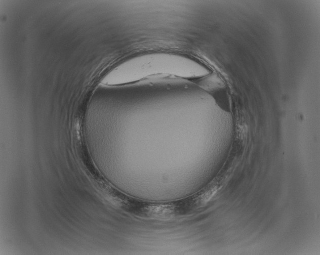 X0000067850117200605111718