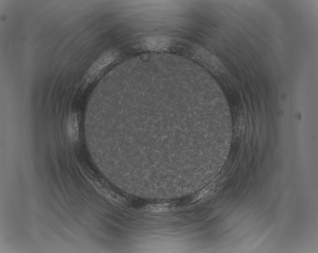 X0000067850120200605111718