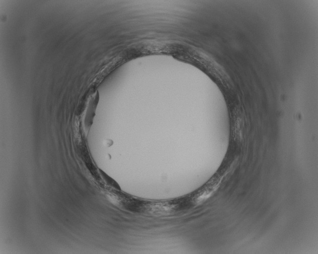 X0000067850121200605111718