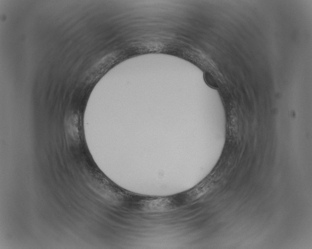 X0000067850122200605111718