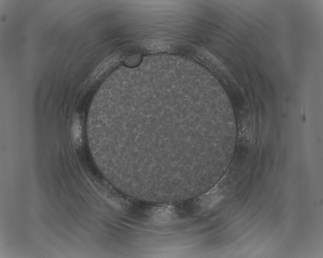 X0000067850124200605111718