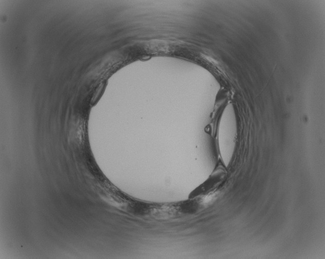 X0000067850125200605111718