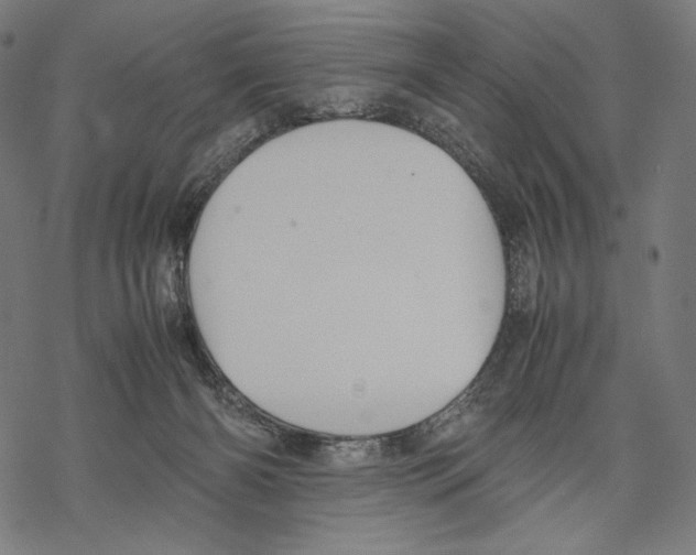 X0000067850126200605111718