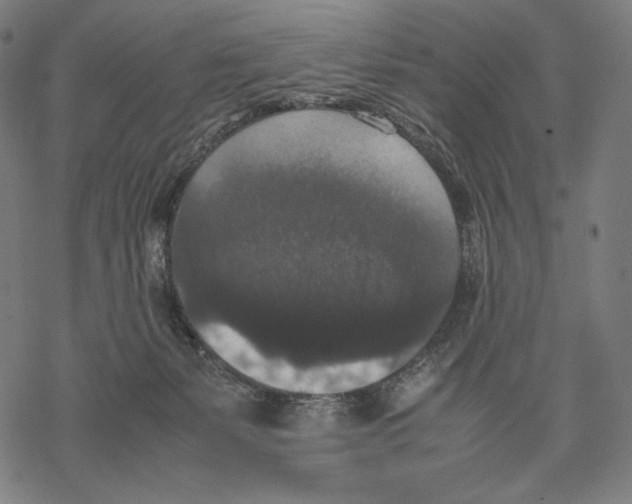 X0000067850127200605111718