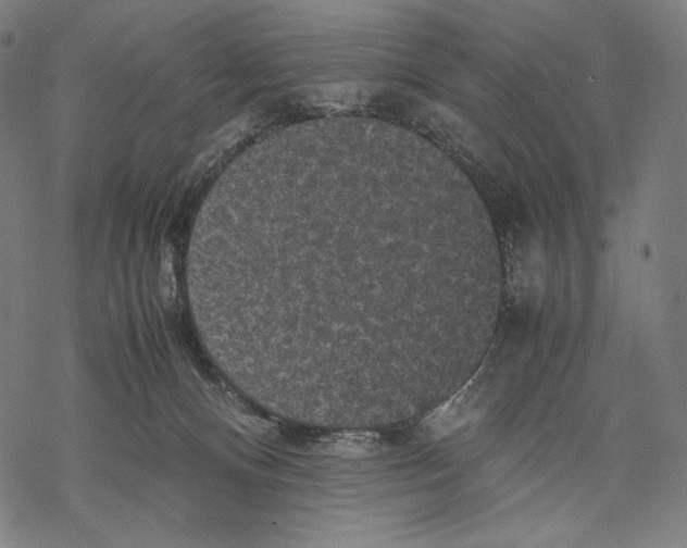 X0000067850128200605111718