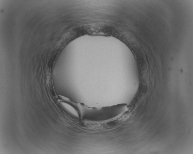 X0000067850129200605111718