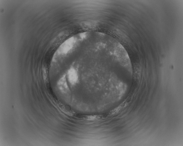 X0000067850130200605111718