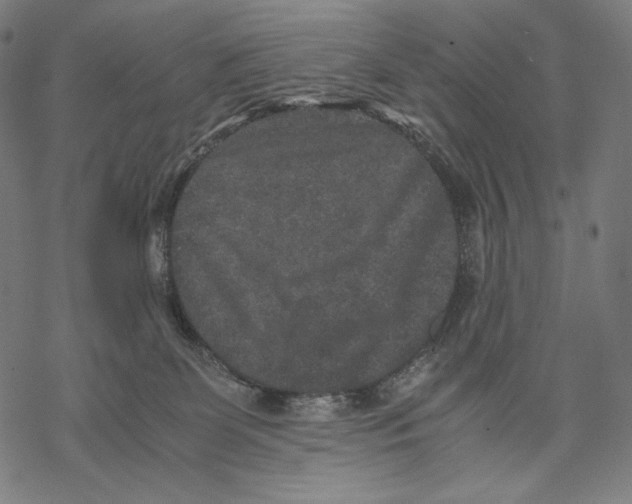 X0000067850131200605111718