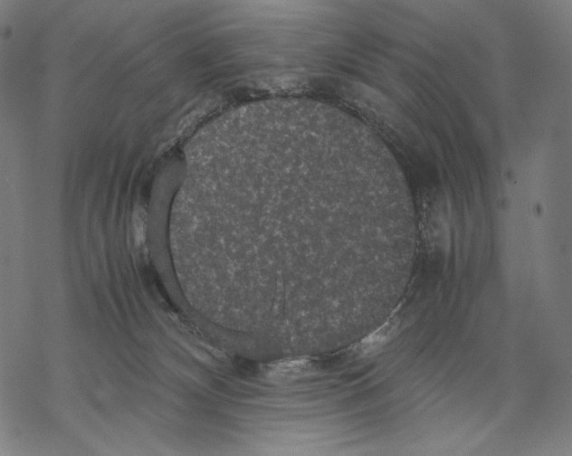 X0000067850132200605111718