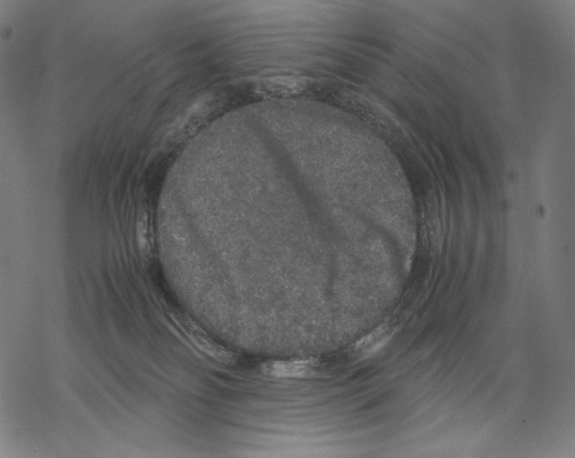 X0000067850134200605111718