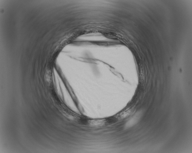 X0000067850135200605111718