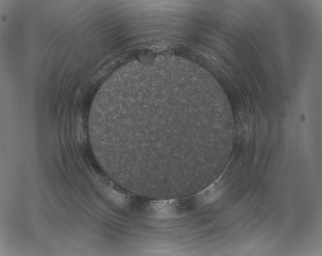 X0000067850136200605111718