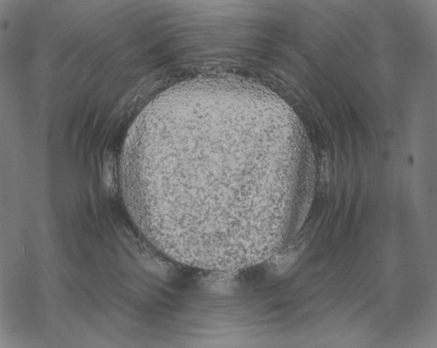 X0000067850138200605111718