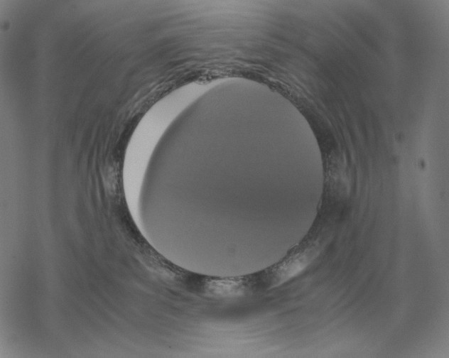 X0000067850139200605111718