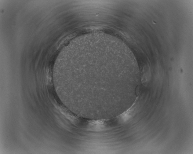 X0000067850140200605111718