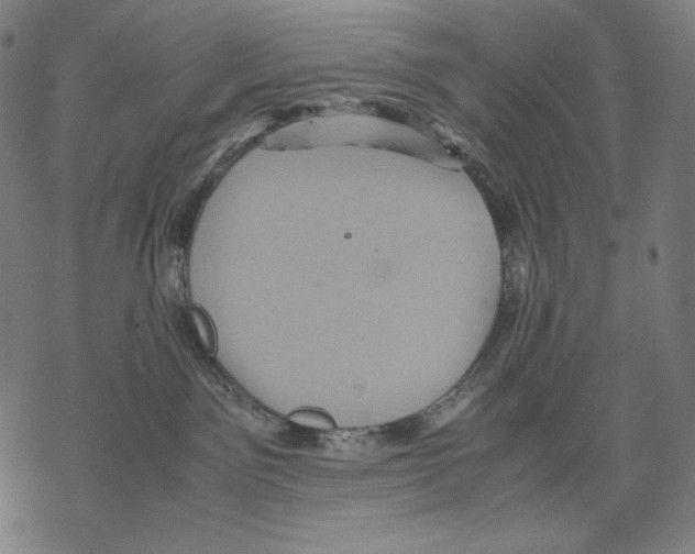 X0000067850141200605111718