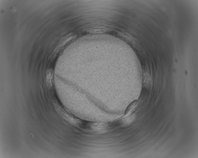 X0000067850142200605111718