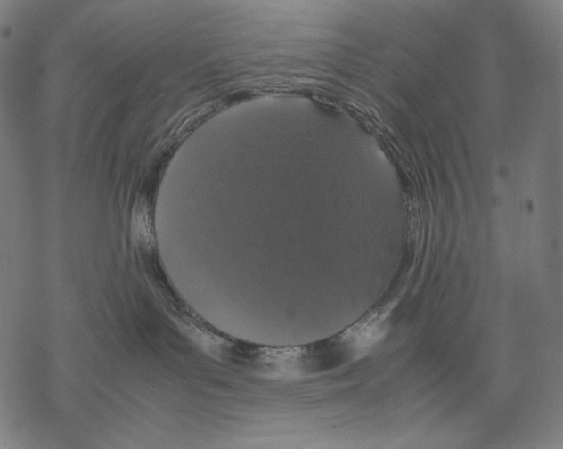 X0000067850143200605111718