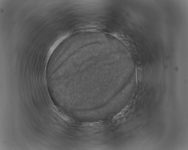 X0000067850147200605111717