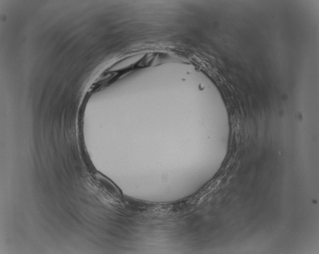 X0000067850148200605111717