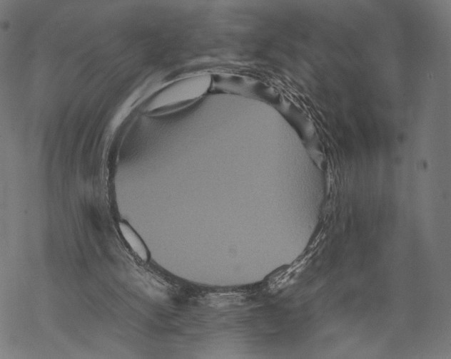 X0000067850150200605111717