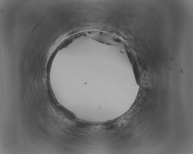 X0000067850152200605111717