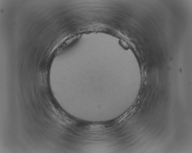 X0000067850154200605111717