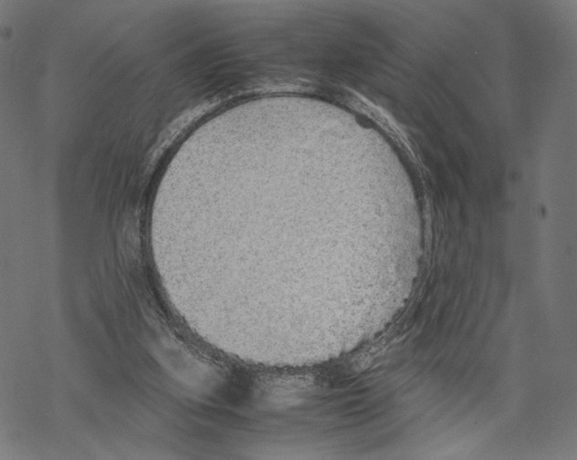 X0000067850155200605111717