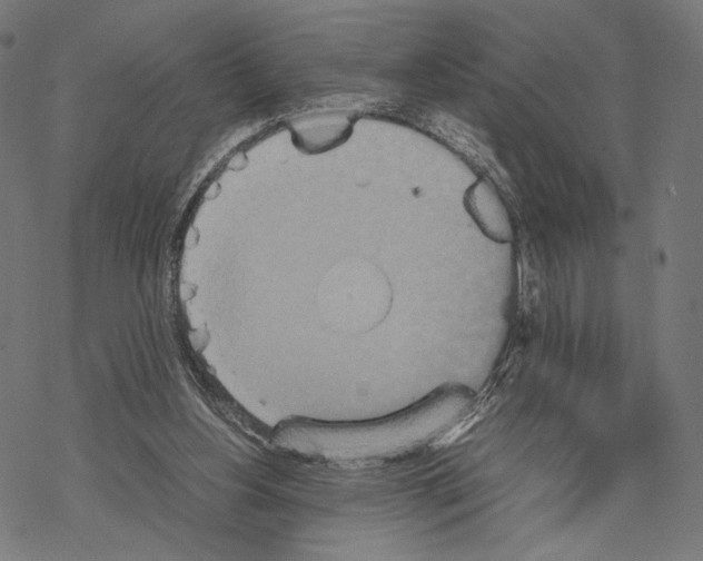 X0000067850156200605111717