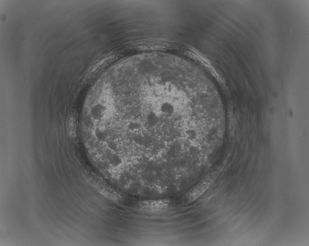 X0000067850161200605111717