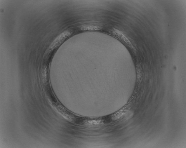 X0000067850163200605111717