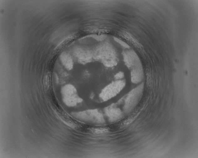 X0000067850165200605111717