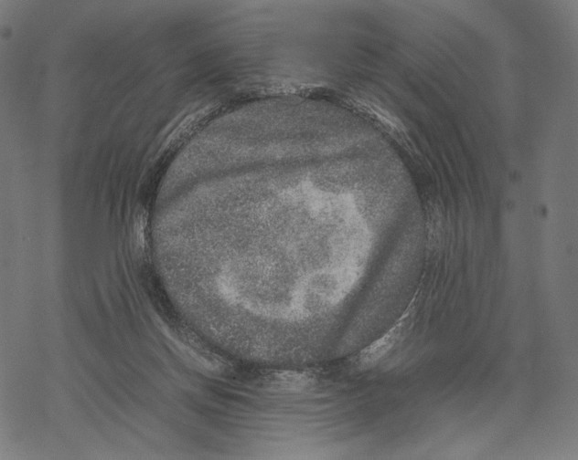 X0000067850166200605111717