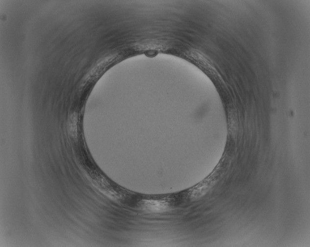 X0000067850167200605111717