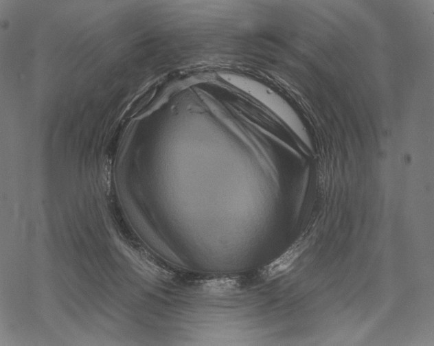 X0000067850168200605111717