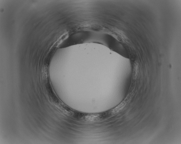 X0000067850172200605111717