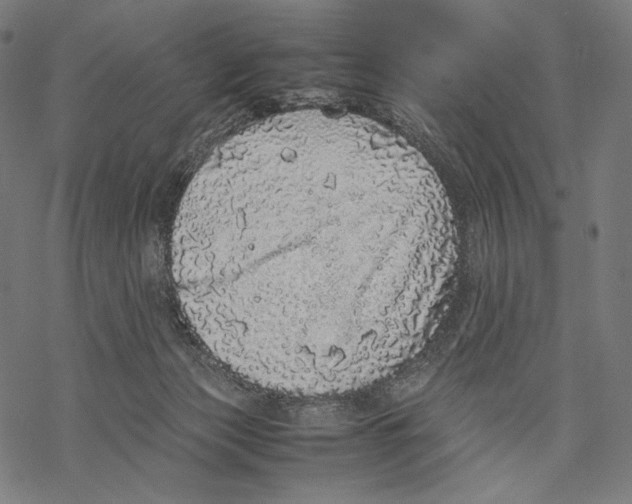 X0000067850173200605111717