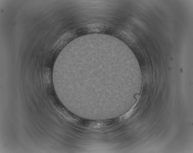 X0000067850174200605111717